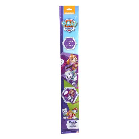 Paw Patrol Skye & Everest Kite Extra Image 1